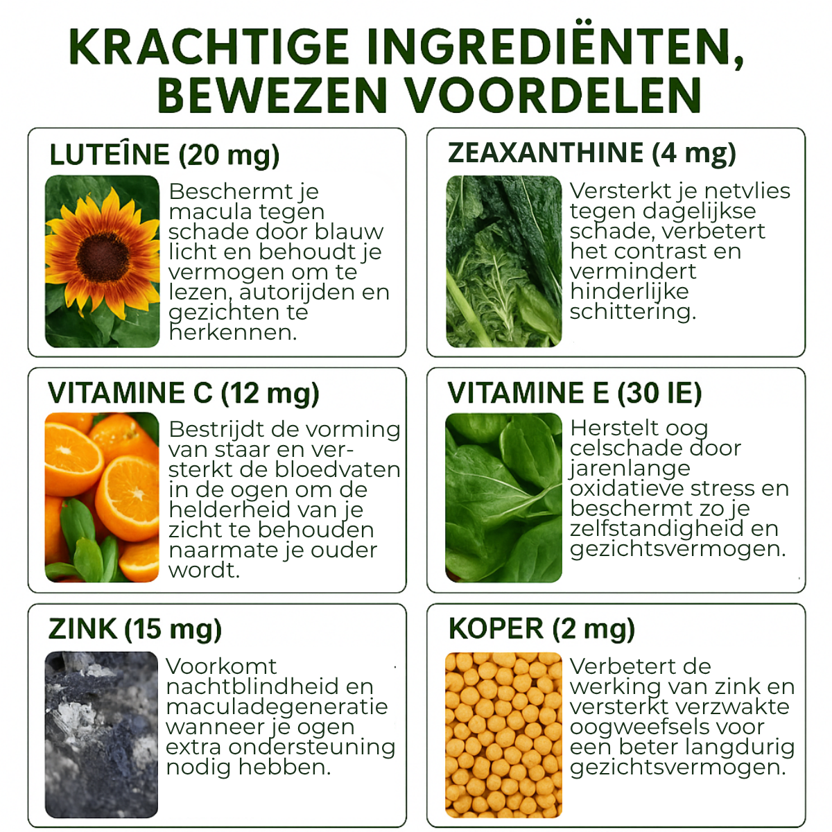 ClearVision AREDS+ Shield - 6-in-1 Advanced Eye Formula